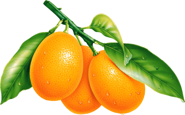 Oranges Orange Transparent PNG Image