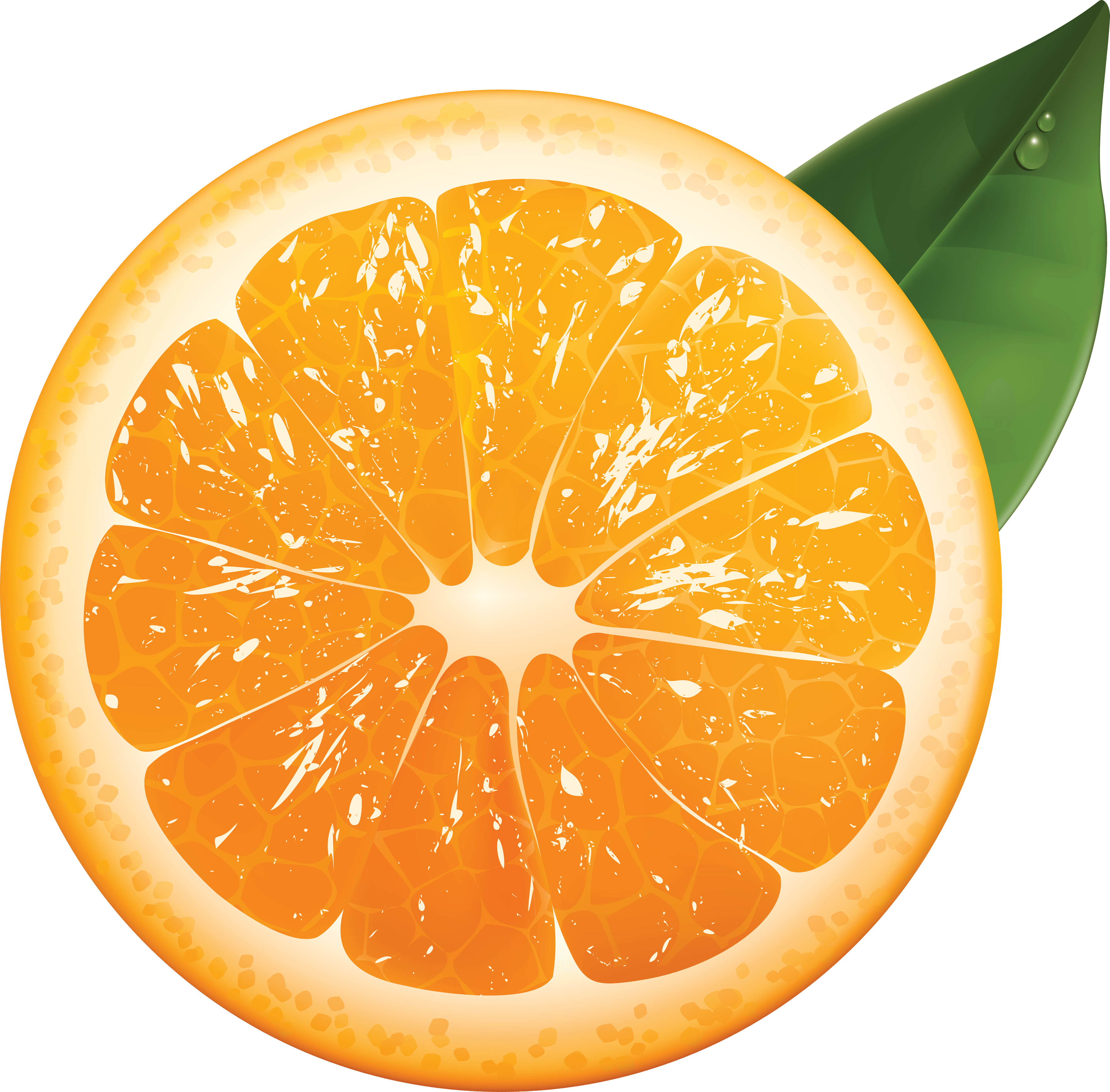 Orange Transparent PNG Image