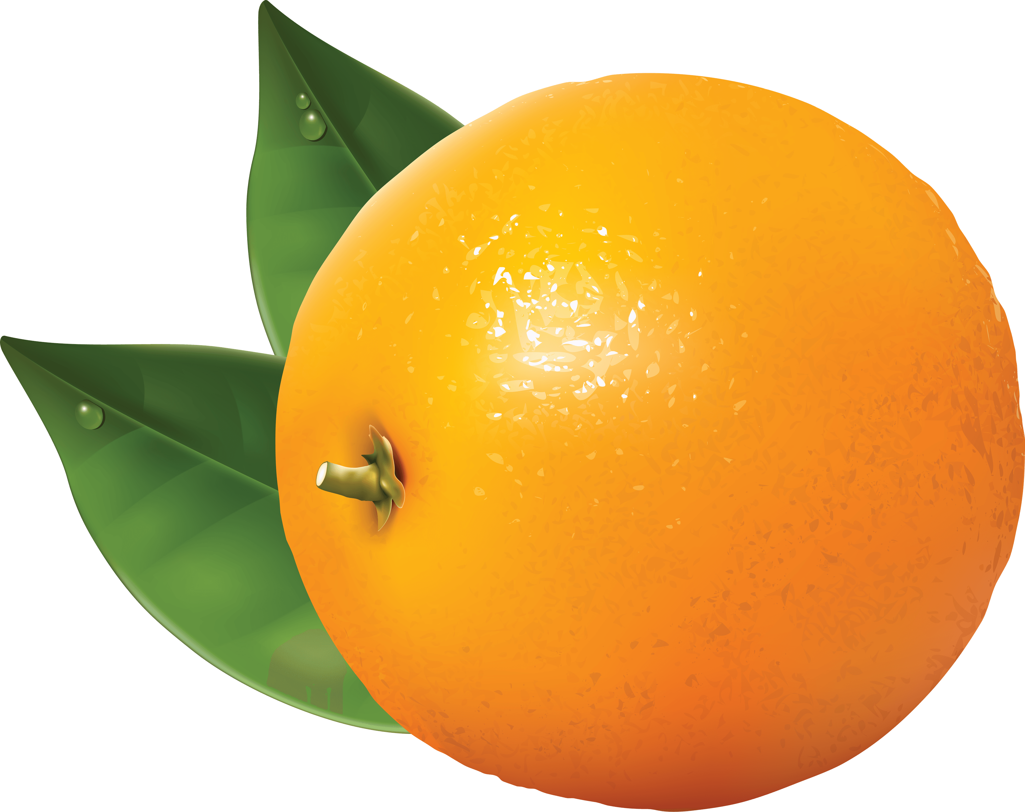 Orange Transparent PNG Image