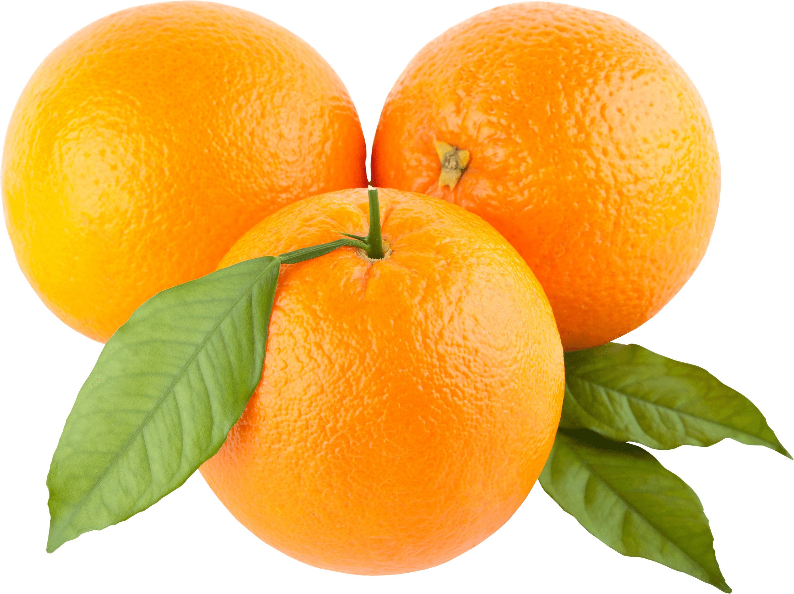 Orange Transparent PNG Image