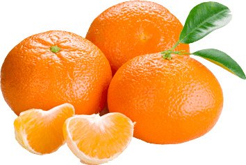 Oranges Orange Transparent PNG Image