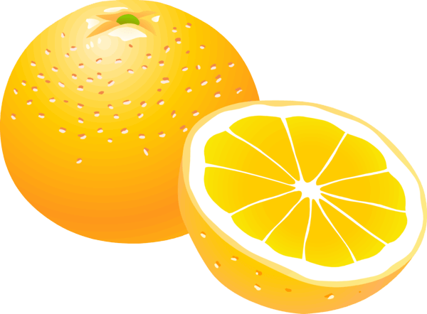 Orange Transparent PNG Image