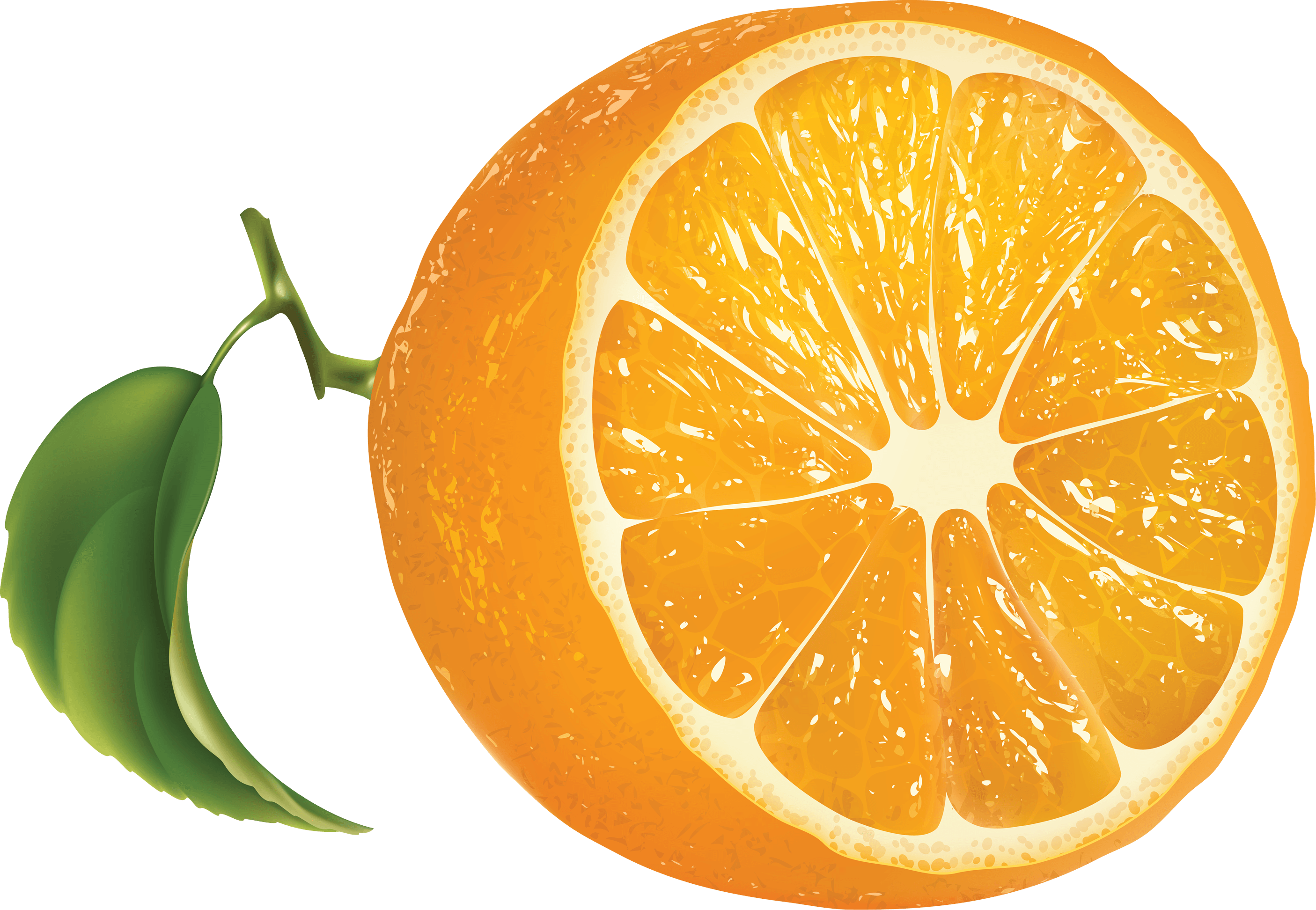 Orange Transparent PNG Image