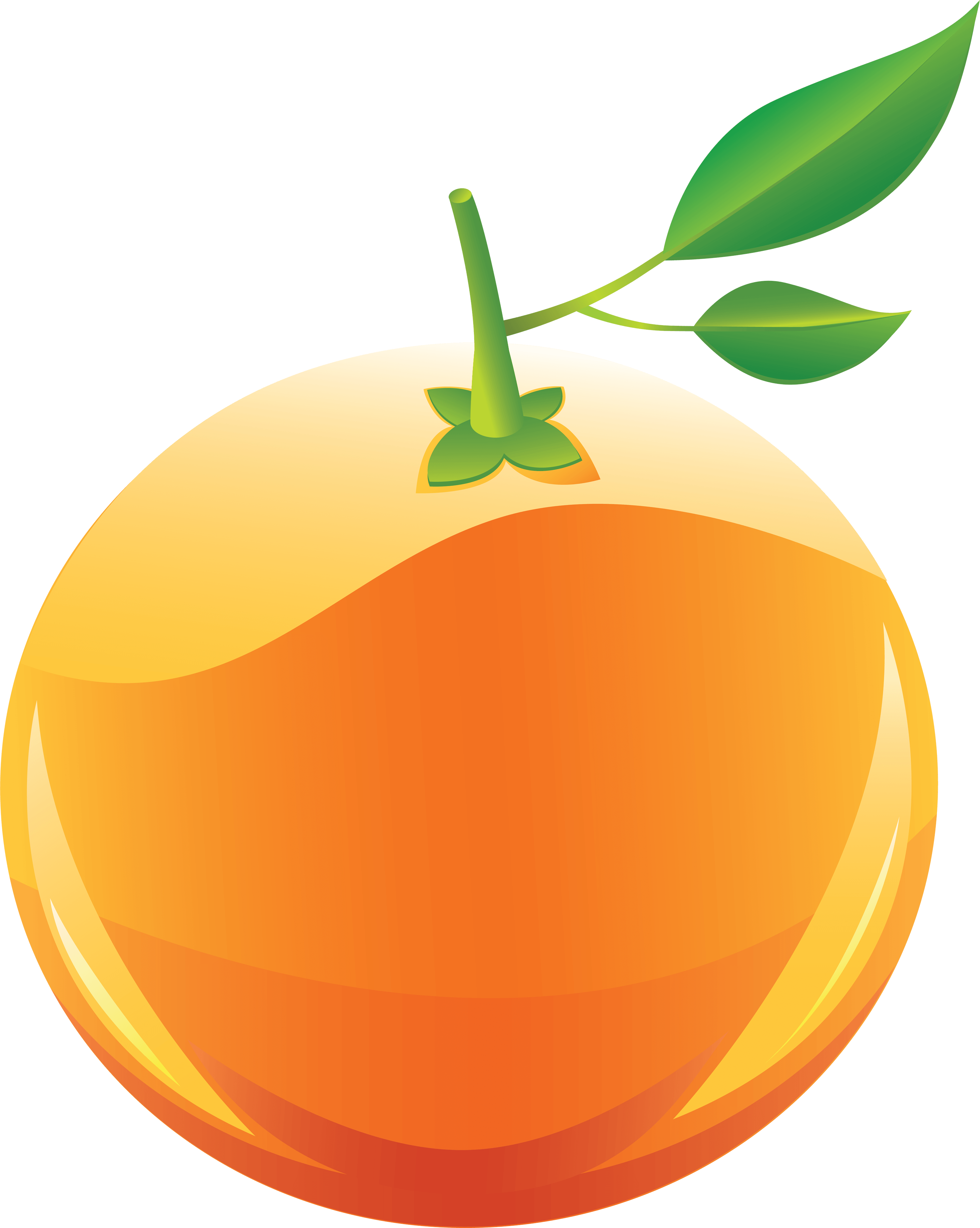 Orange Transparent PNG Image