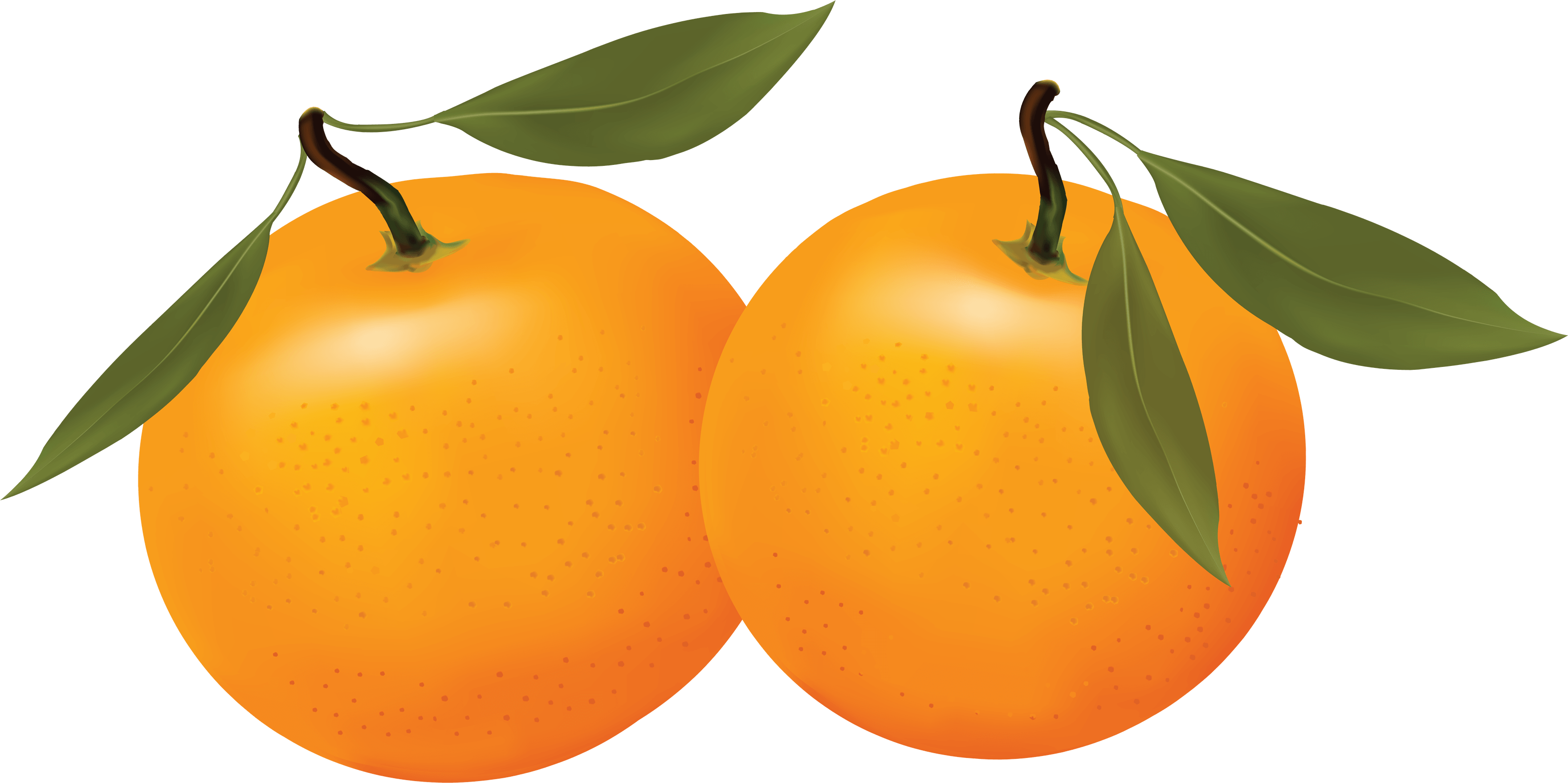 Orange Transparent PNG Image