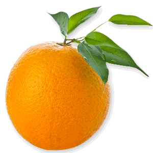 Orange Transparent PNG Image