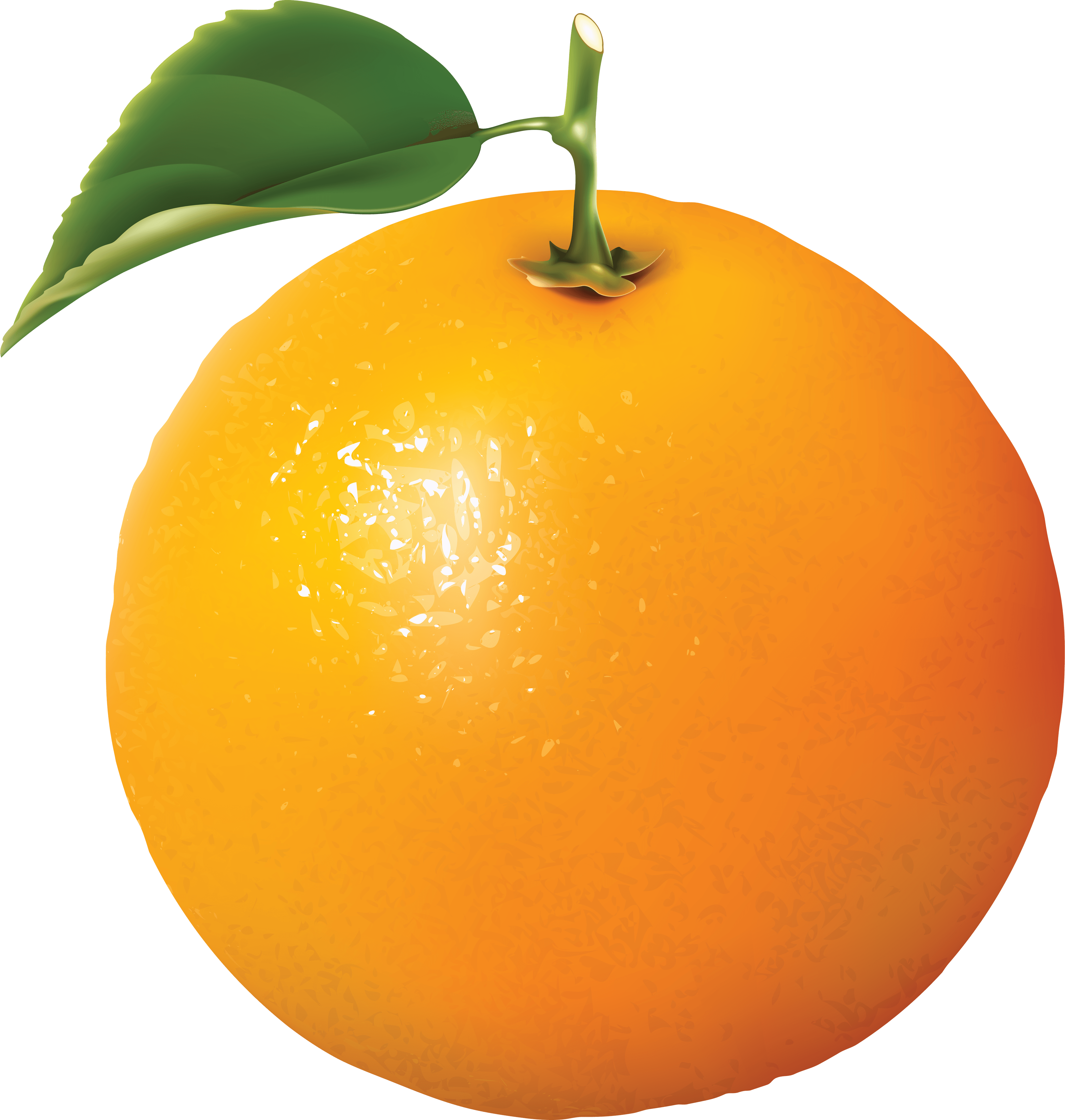 Orange Transparent PNG Image