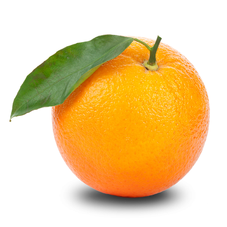 Orange Transparent PNG Image