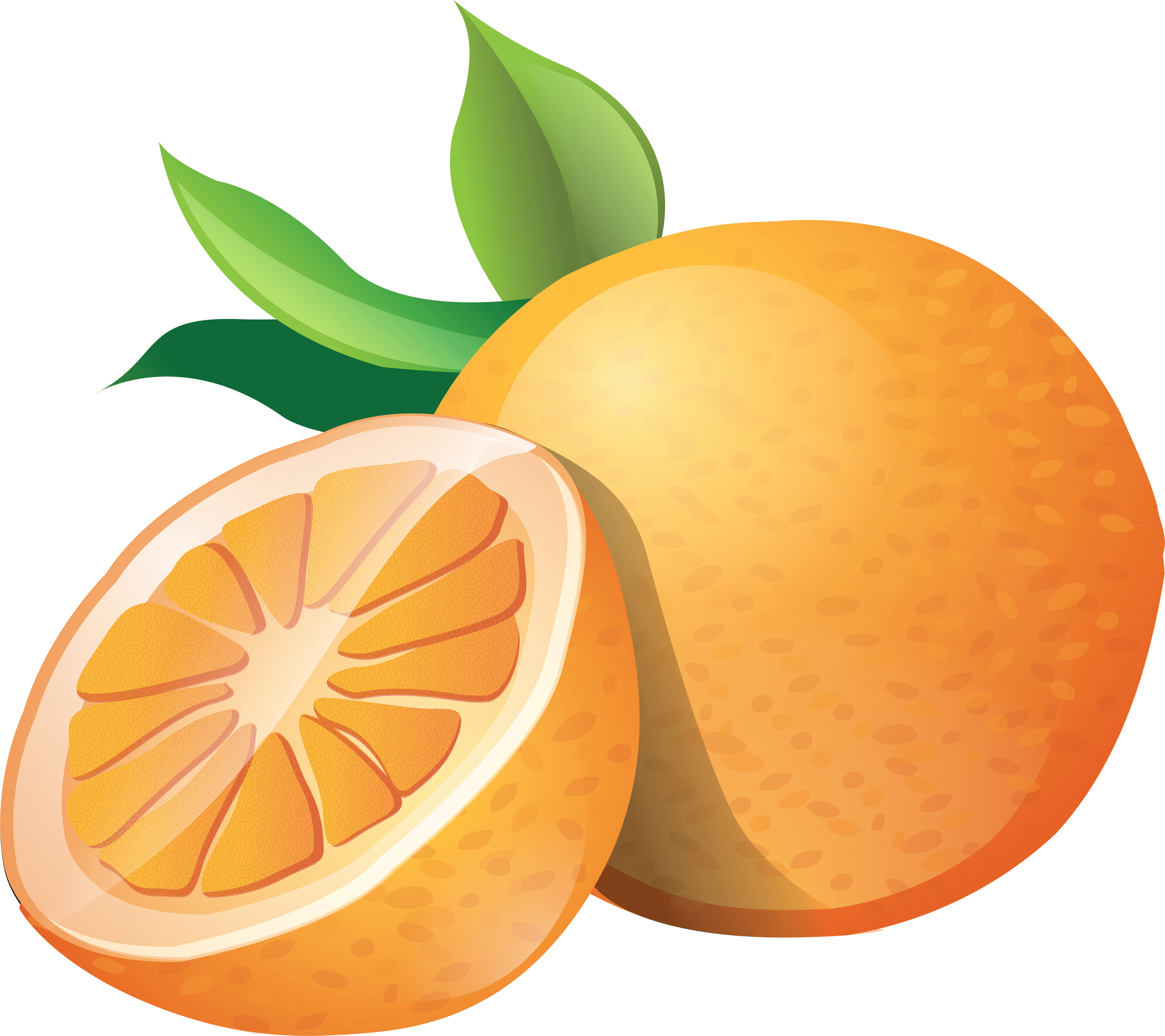 Orange Transparent PNG Image