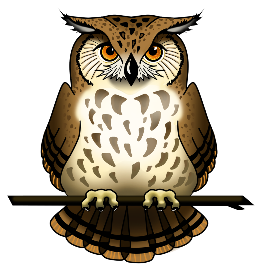 Owl Transparent PNG Image