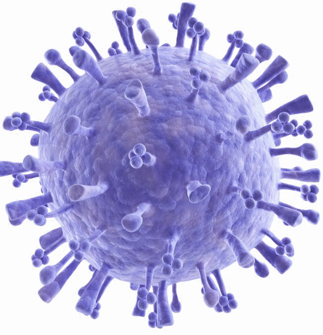 Bacteria Transparent PNG Image