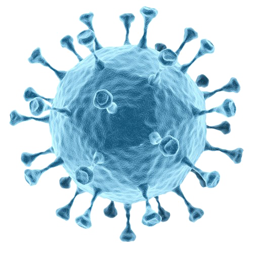 Bacteria Transparent PNG Image