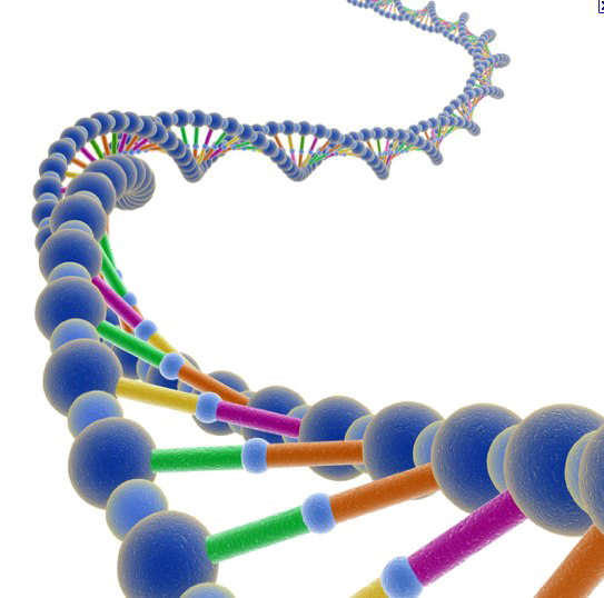Dna Transparent PNG Image