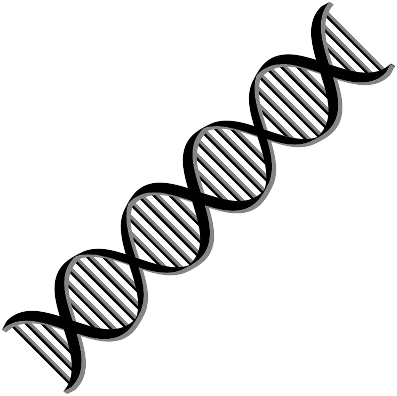 Dna File Transparent PNG Image