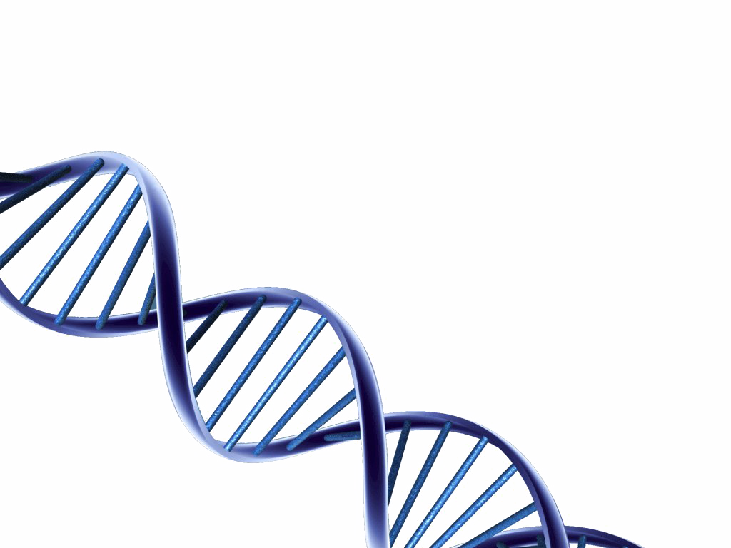 Dna Transparent PNG Image
