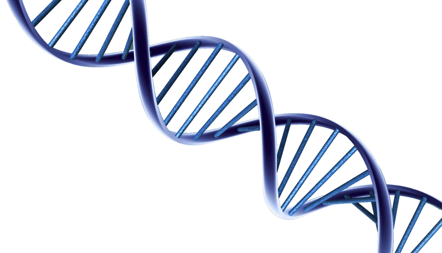 Dna Transparent PNG Image