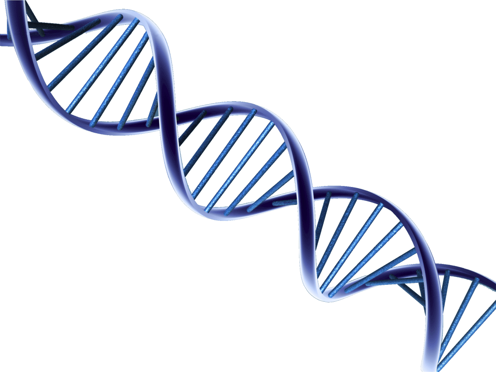Dna Transparent PNG Image