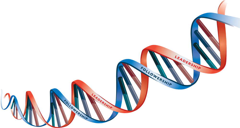 Dna Transparent PNG Image