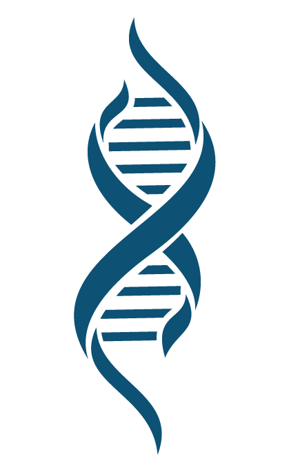 Dna Transparent PNG Image