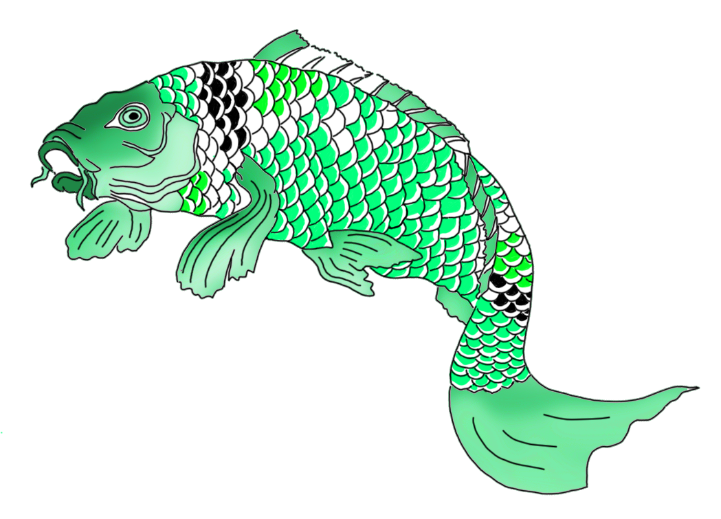 Koi Goldfish Painting Drawing Illustration Transparent PNG Image