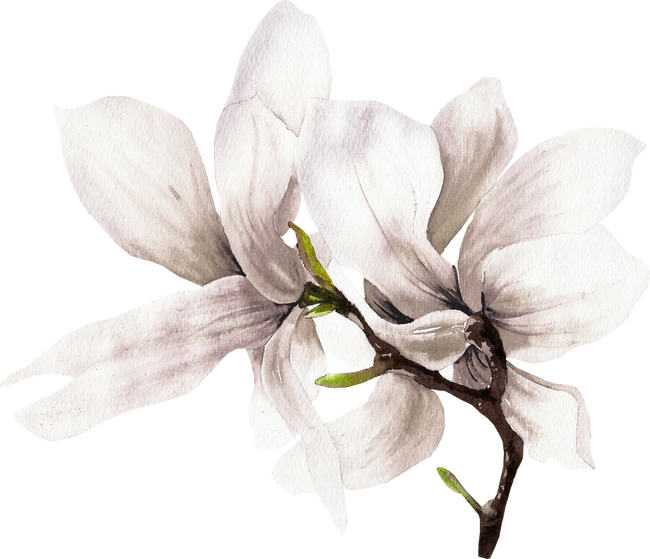 Watercolor Art Plant Flower Painting Frame Transparent PNG Image