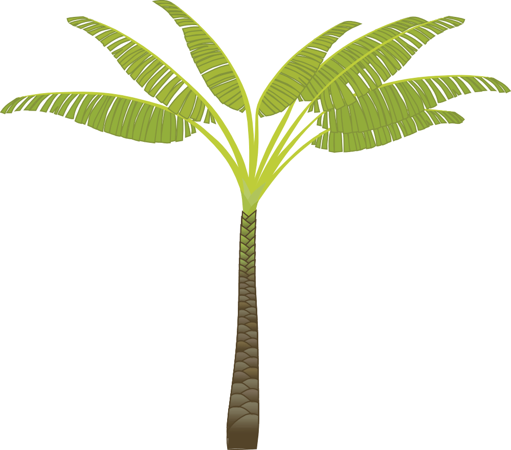 Palm Tree Transparent PNG Image