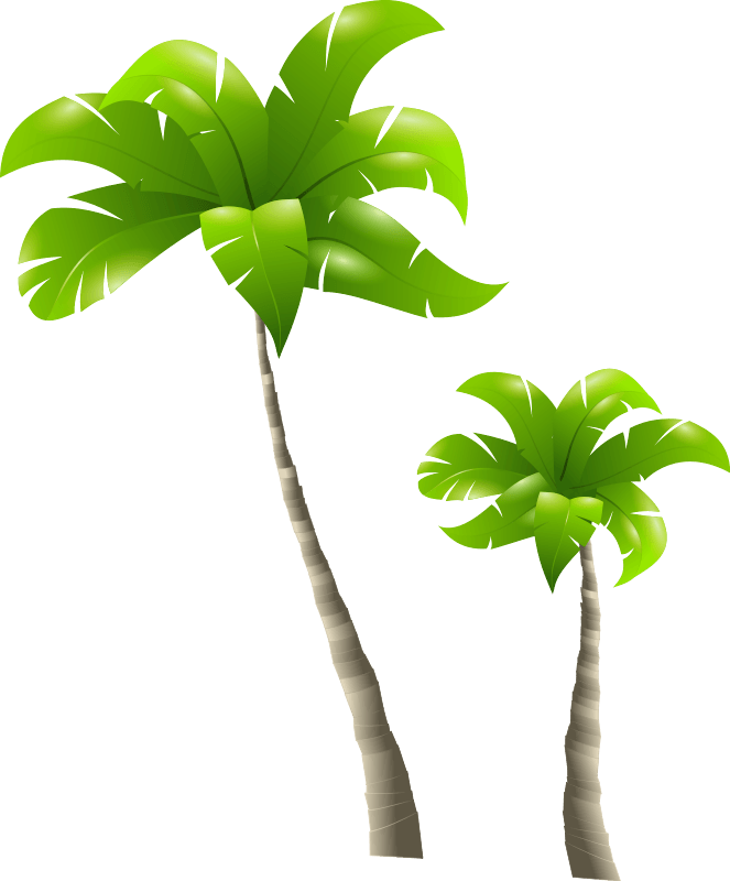 Palm Tree Transparent PNG Image