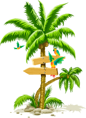 Tropical Palm Tree Transparent PNG Image