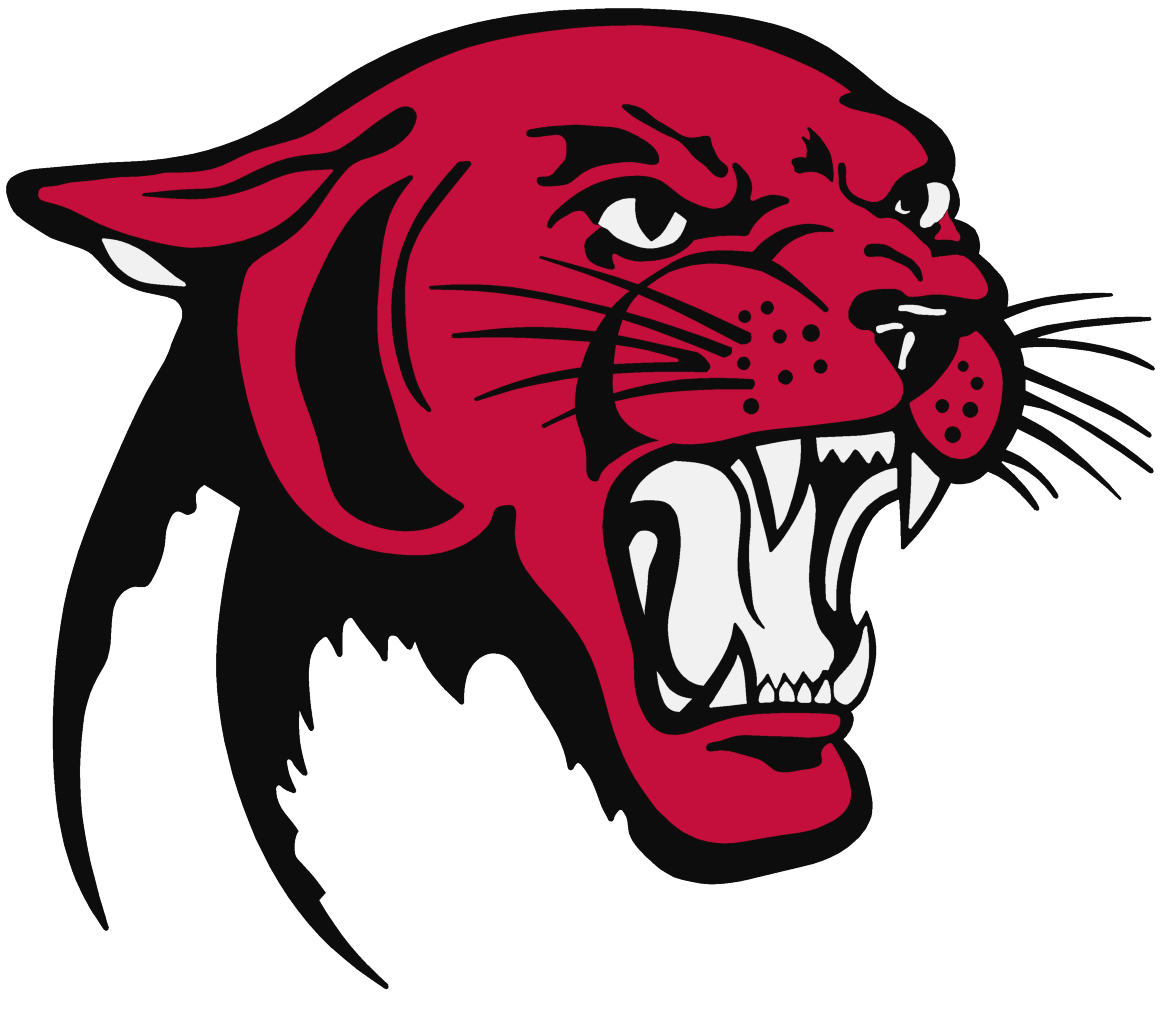 Panther Transparent PNG Image