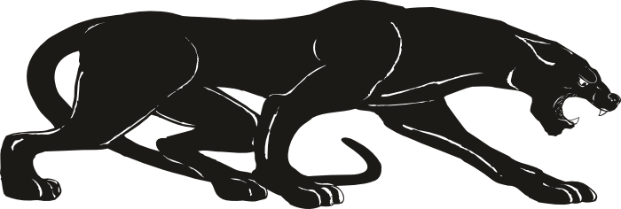 Panther Transparent PNG Image