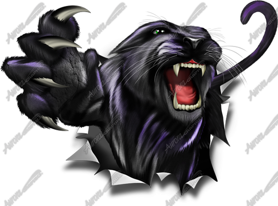 Panther Transparent PNG Image