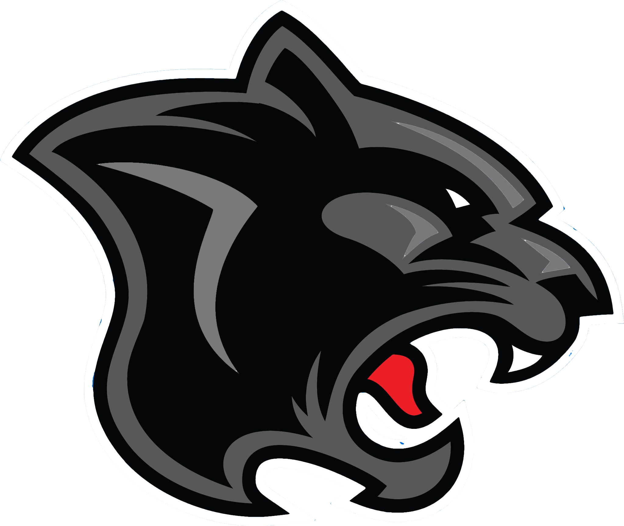 Panther File Transparent PNG Image