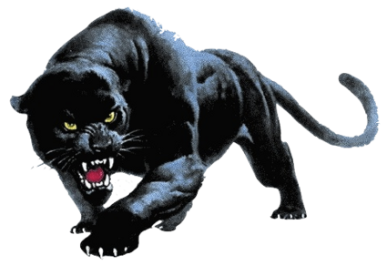 Panther Transparent PNG Image