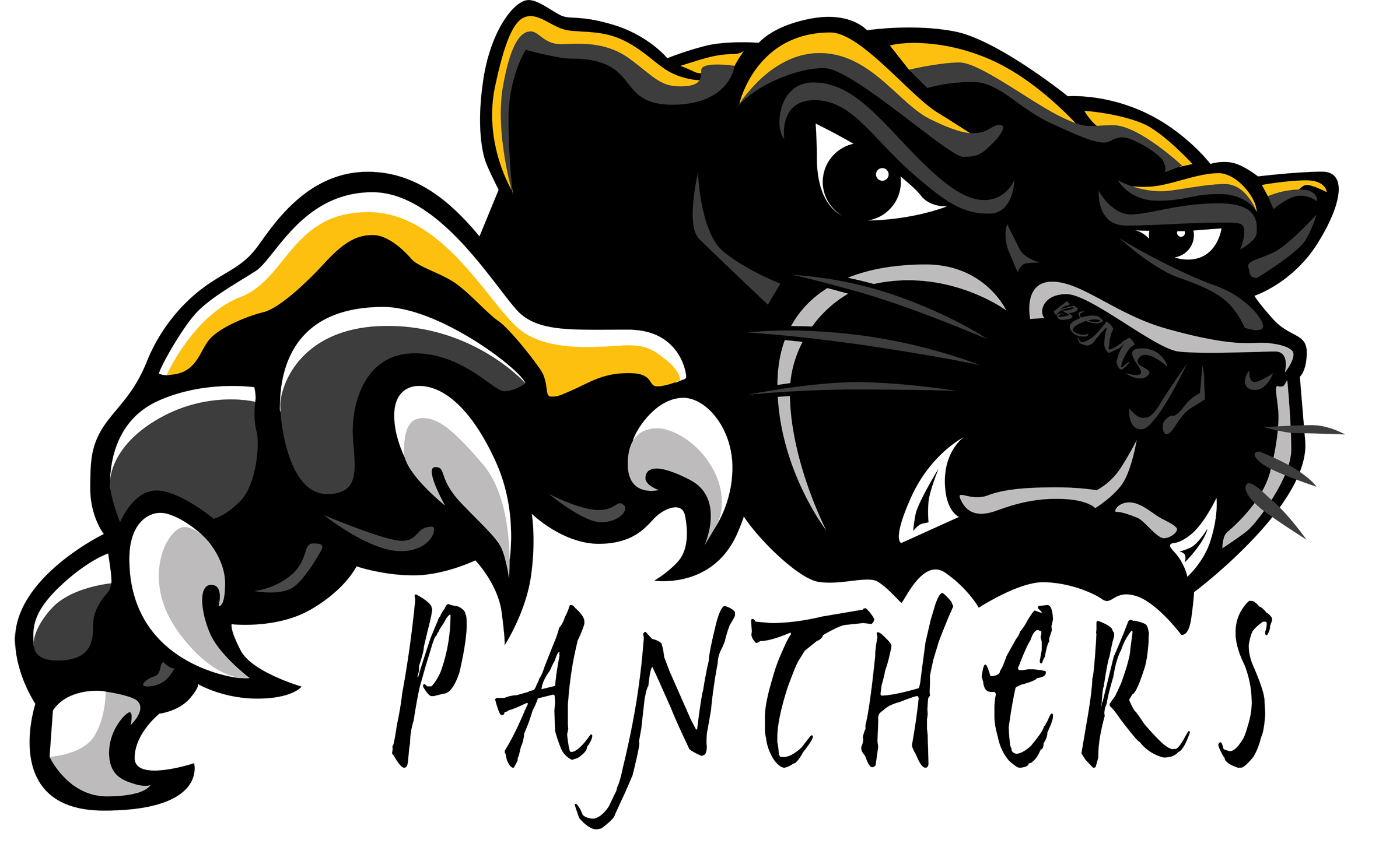 Panther Transparent PNG Image