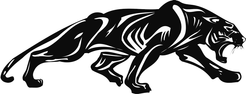 Panther Transparent PNG Image