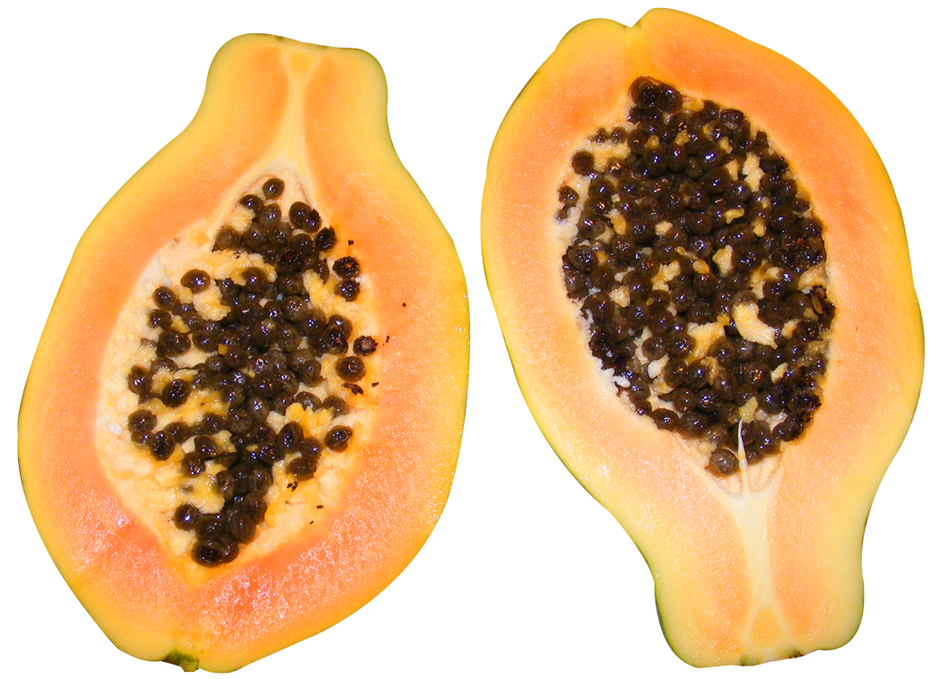 Papaya Half Transparent PNG Image