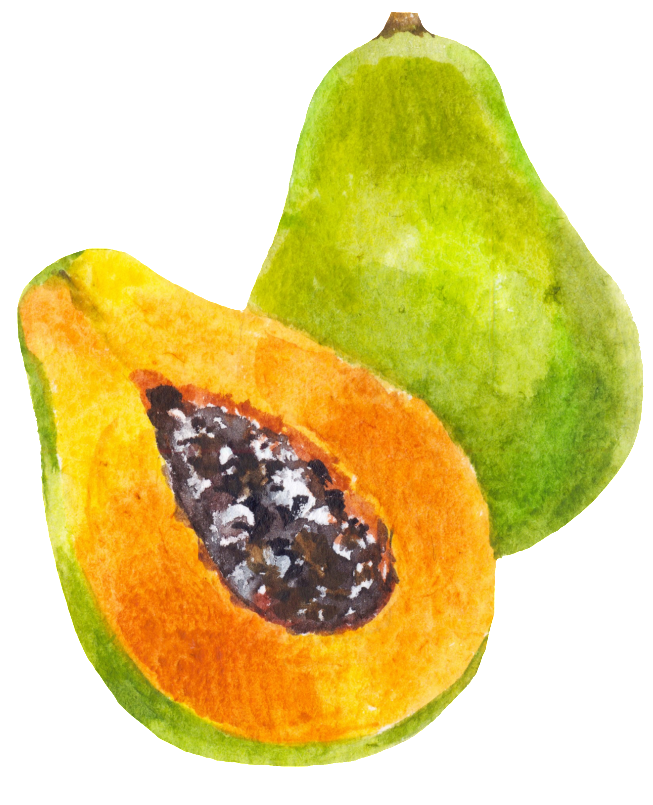 Papaya Half Transparent PNG Image