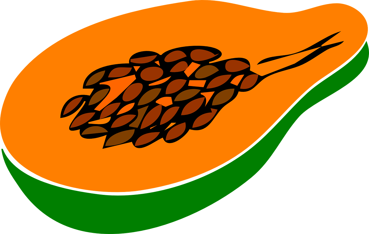 Papaya Organic Half Transparent PNG Image