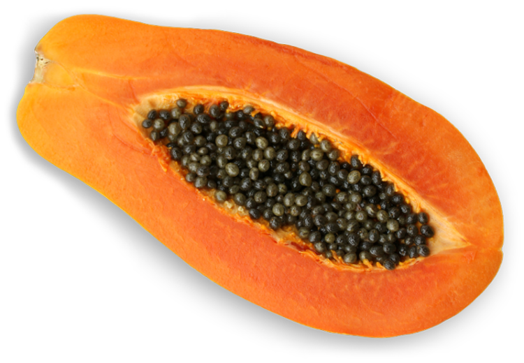 Papaya Organic Half Transparent PNG Image