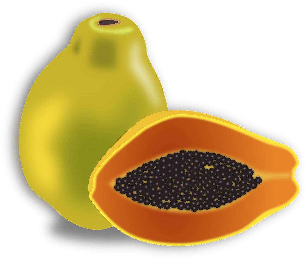 Papaya Organic Half Transparent PNG Image
