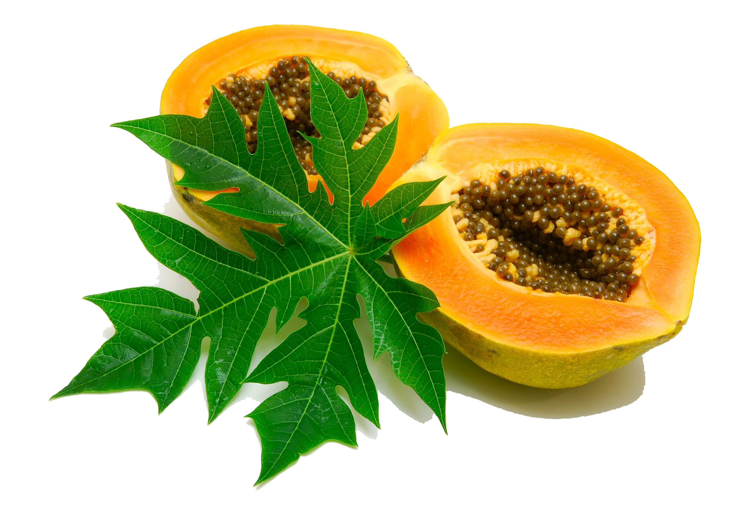 Papaya Transparent PNG Image
