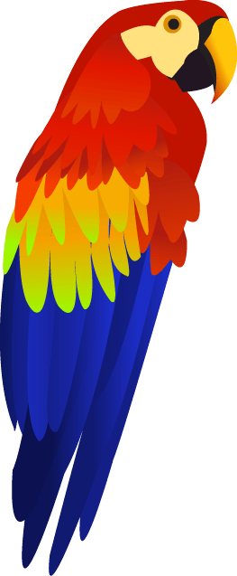 Colorful Parrot Transparent PNG Image