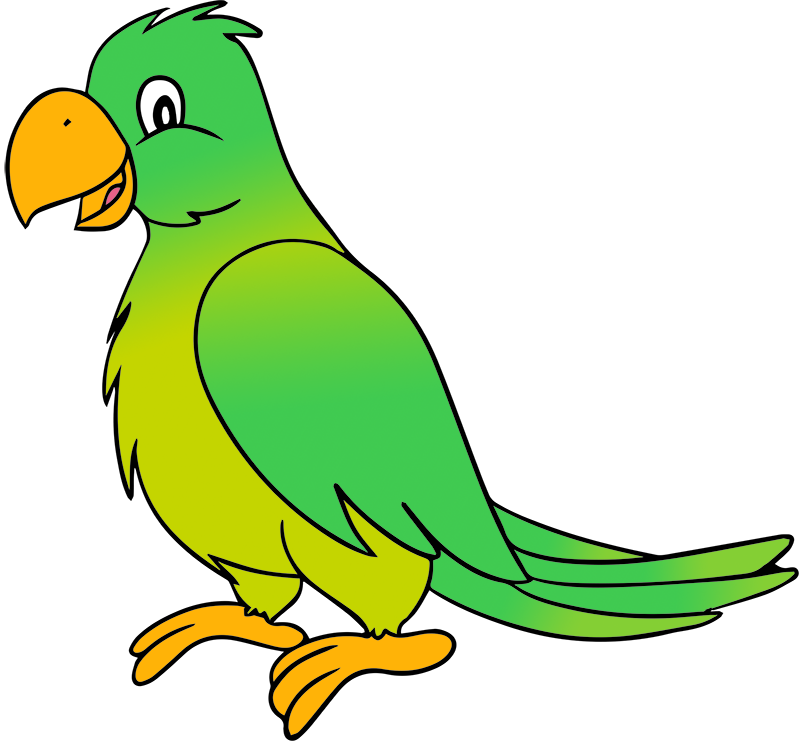 Cute Parrot Background Transparent PNG Image
