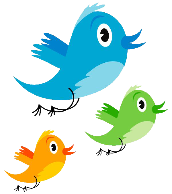 Cute Parrot Transparent PNG Image