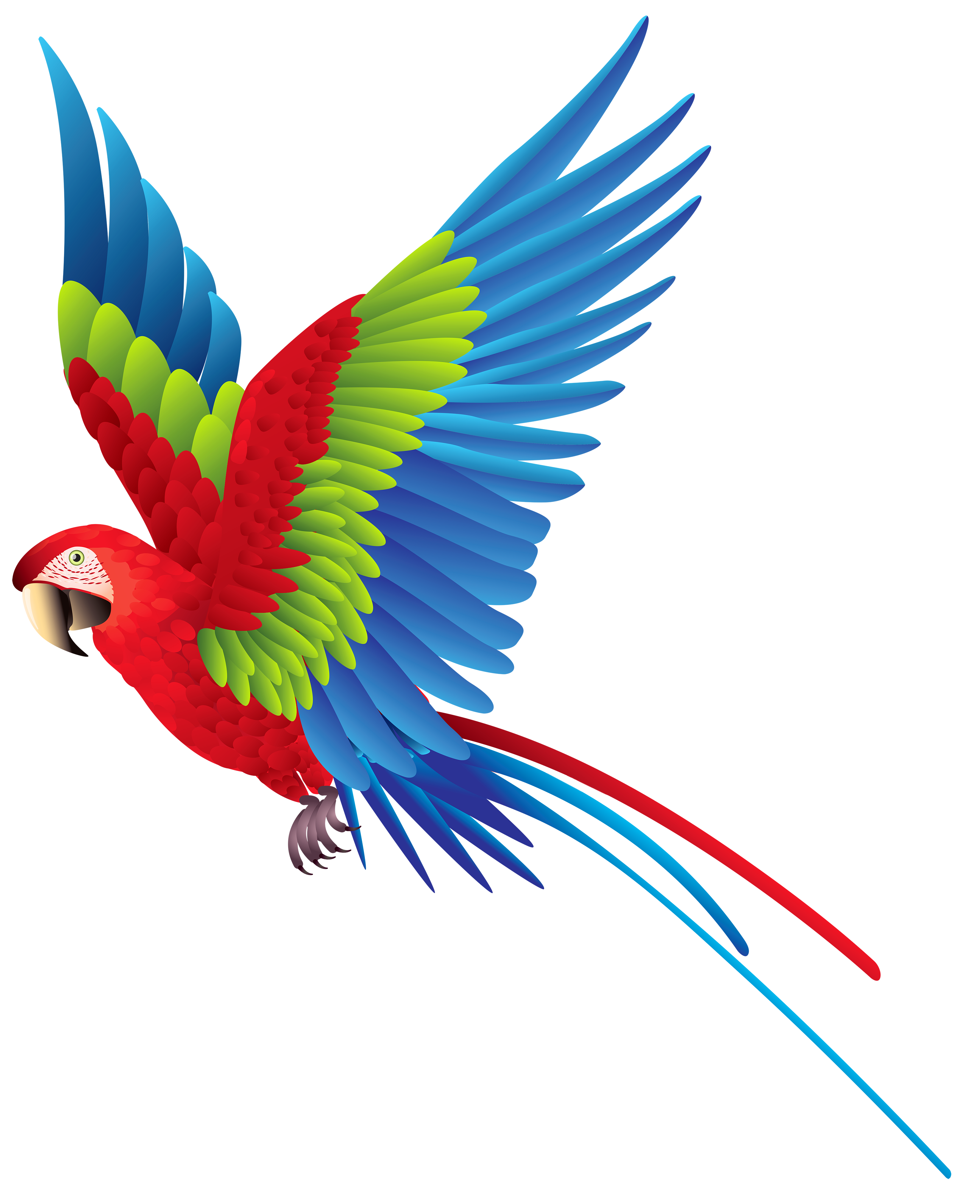 Parrot Transparent PNG Image