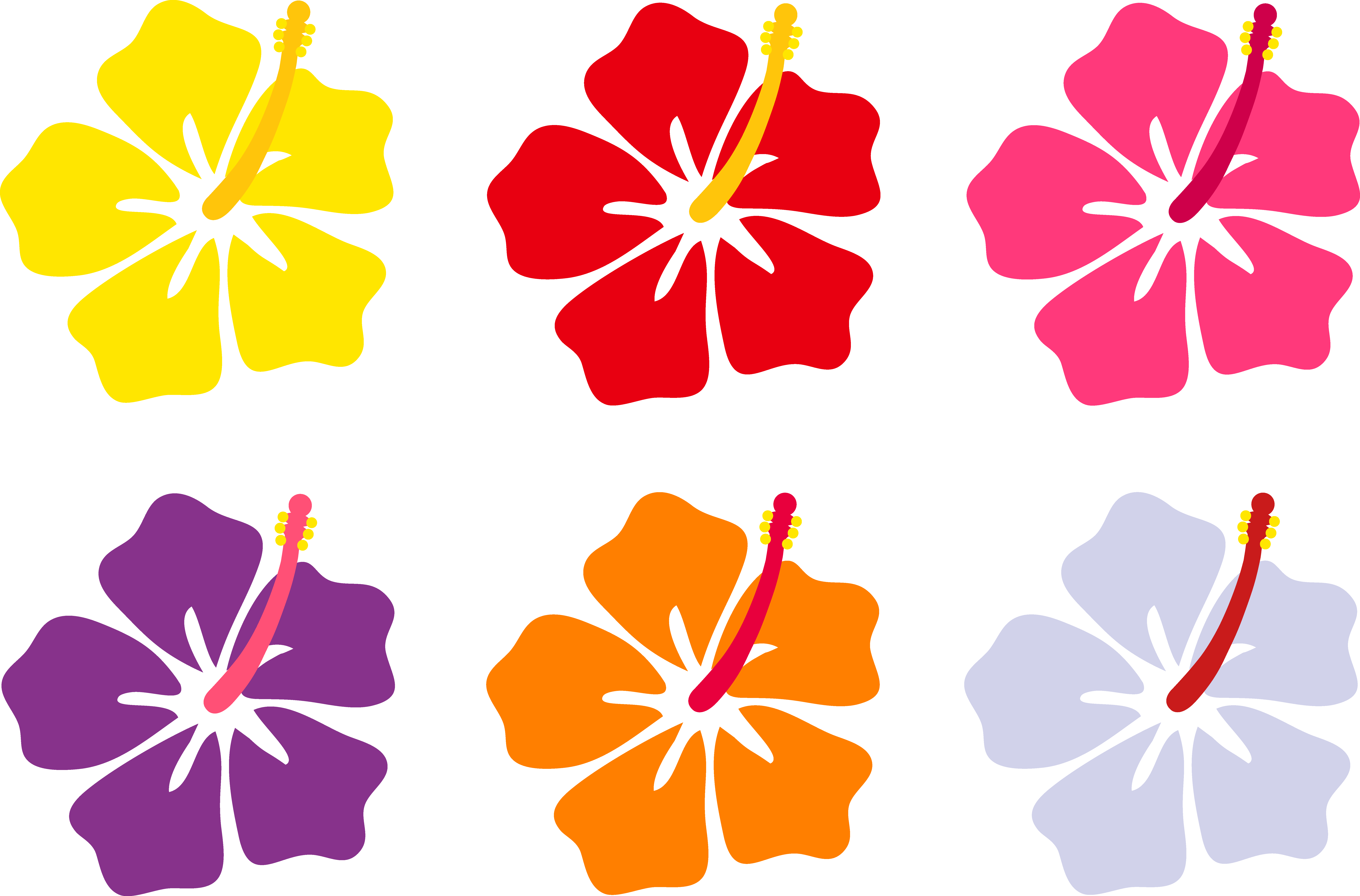 Flower Aloha Hawaiian Luau Transparent PNG Image