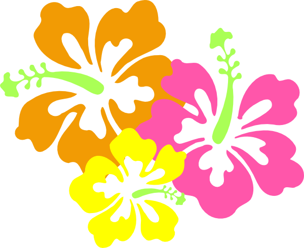 Hawaiian Luau Transparent PNG Image