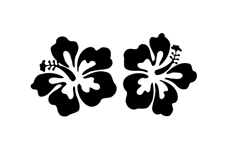 Hawaiian Luau Transparent PNG Image