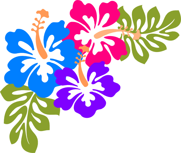 Hawaiian Luau Transparent PNG Image