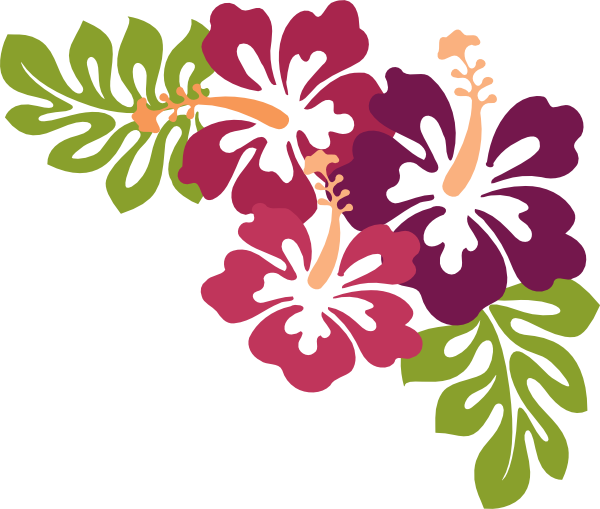 Hawaiian Luau Transparent PNG Image